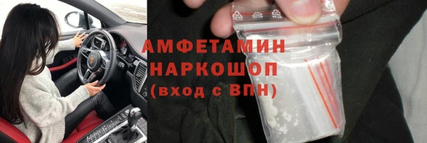 гидра Абаза